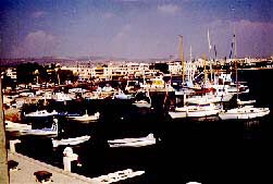 Harbor at Paphos, Cyprus. Photo copyrighted.