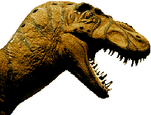 Tyrannosaur photo, Answers in Genesis
