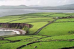Ireland landscape. Copyrighted.
