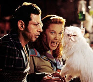 Jeff Goldblum and Elizabeth Perkins in “Cats and Dogs”